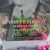 Гнитецкий Николай Павлович