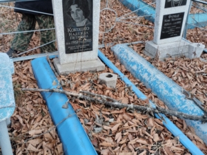 Кокошко Надежда Петровна