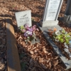 Яковлев Владислав Николаевич