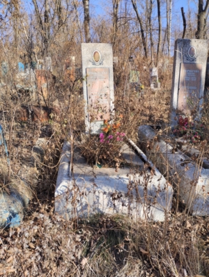 350983a3-3205-49b3-a693-834bfa08455e Пашковская Марина Михайловна