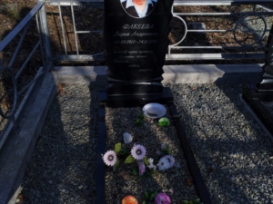 Факеева Дарья Андреевна