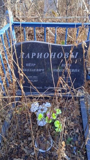 3548496c-8563-4b0b-ba44-515fd0198ef1 Ларионов Петр Николаевич