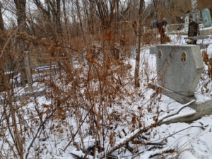 36220c1f-5041-48ac-8ccb-a227231600ab Неизвестно Неизвестно Неизвестно