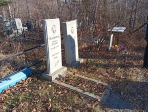 Видовский Михаил Павлович