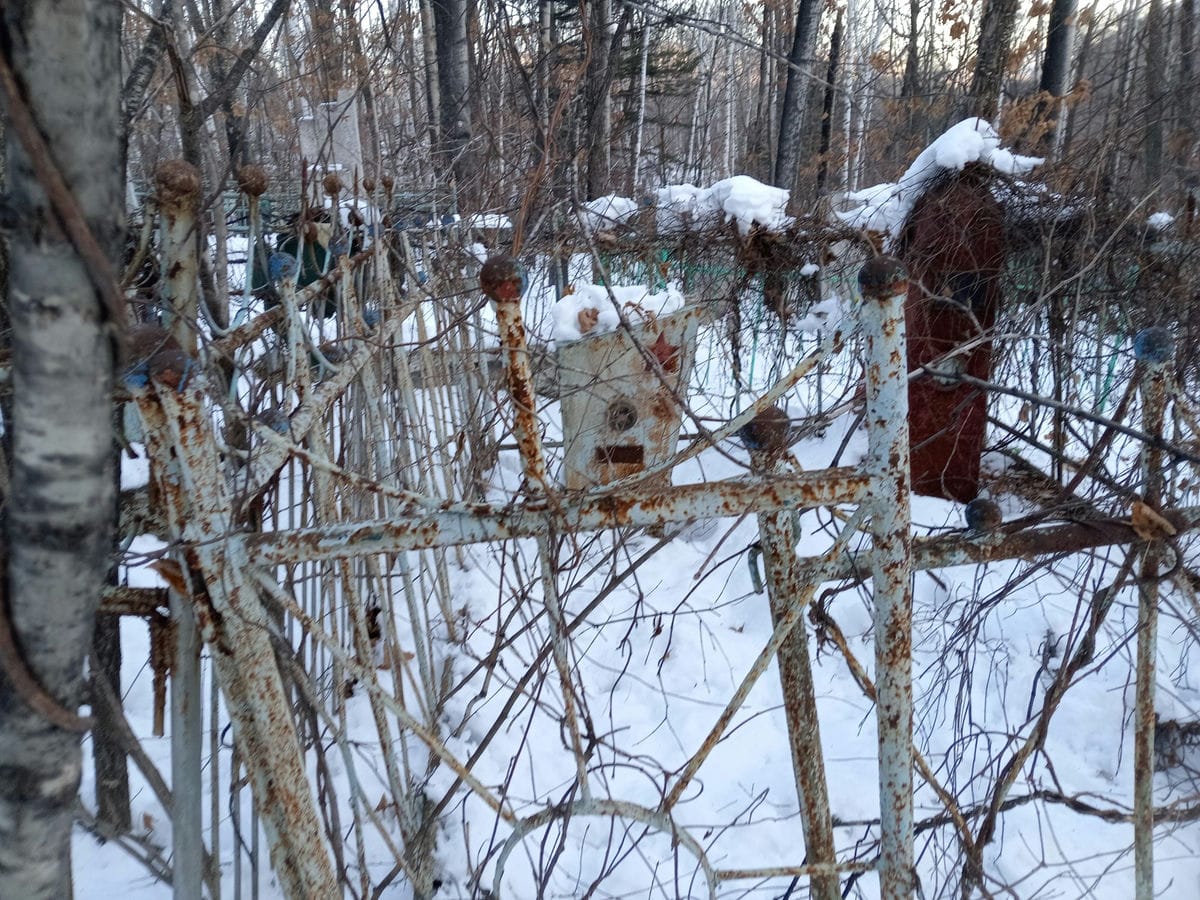 Мельникова Пелагея Андреевна