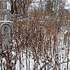 Буйских Евдокия Васильевна