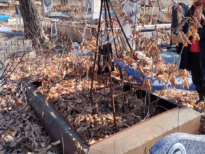 Халиков Карим Неизвестно