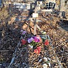 Михайлова Александра Ивановна
