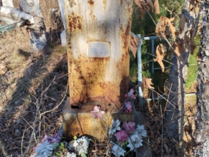 Шейко Анна Аксентьевна