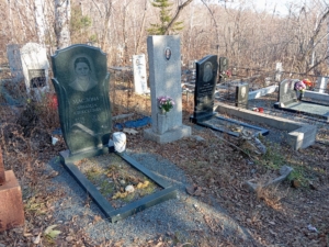 Владимирова Неизвестно Неизвестно