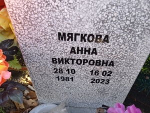 Мягкова Анна Викторовна