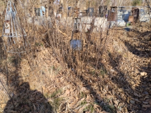 Переверзев Неизвестно Неизвестно