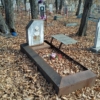 Панова Софья Николаевна