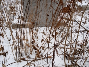 Неизвестно Неизвестно Неизвестно