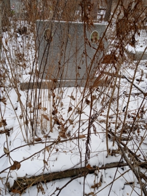 380d1870-04bf-4649-af54-dd1e33b15d5f Неизвестно Неизвестно Неизвестно