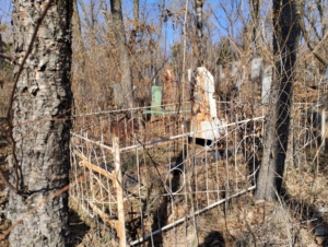 Жуков Николай Григорьевич