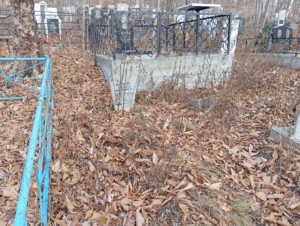 38a4c94b-6baf-4296-9ba8-dd641844895d Шевчук Евгения Максимовна