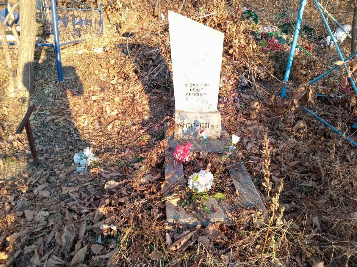 38c6a13c-c869-46a4-9de2-350a235f54b0 Безмозгий Игнат Петрович