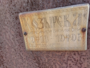 38c75185-aedf-4118-8398-212c8e933884 Козырева Александра Васильевна