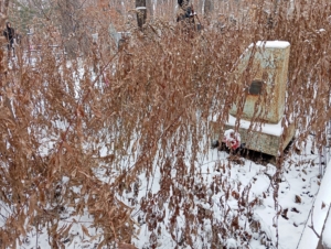 Герасимова Людмила Дмитриевна