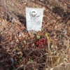Цабаев Юрий Ермолаевич