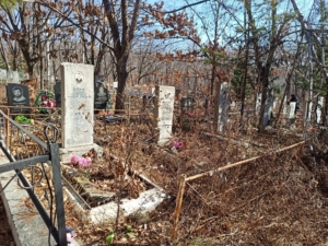 39443243-7f44-4465-897a-5fd7f3a102f7 Шевель Федосья Яковлевна