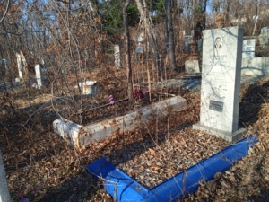 Примачёв Дмитрий Михайлович