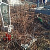 Махиборода Виталий Александрович
