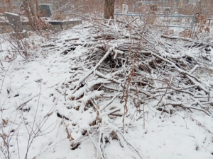 Неизвестно Неизвестно Неизвестно