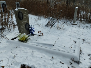 Фомина Анна Михайловна