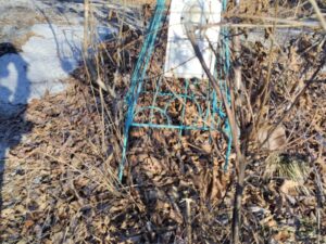 Кузнецова Анастасия Егоровна