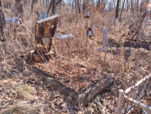 Печонкин Виктор Сергеевич