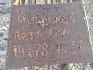 39e8c91a-52d1-463b-b8e9-27e6b30f6c3a Чайников Петр Николаевич
