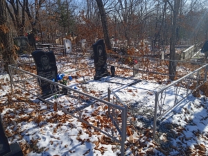3a0be4ce-6212-4763-8a2c-660cd2821273 Булагин Владимир Аксентьевич