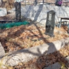 Педань Петр Иванович