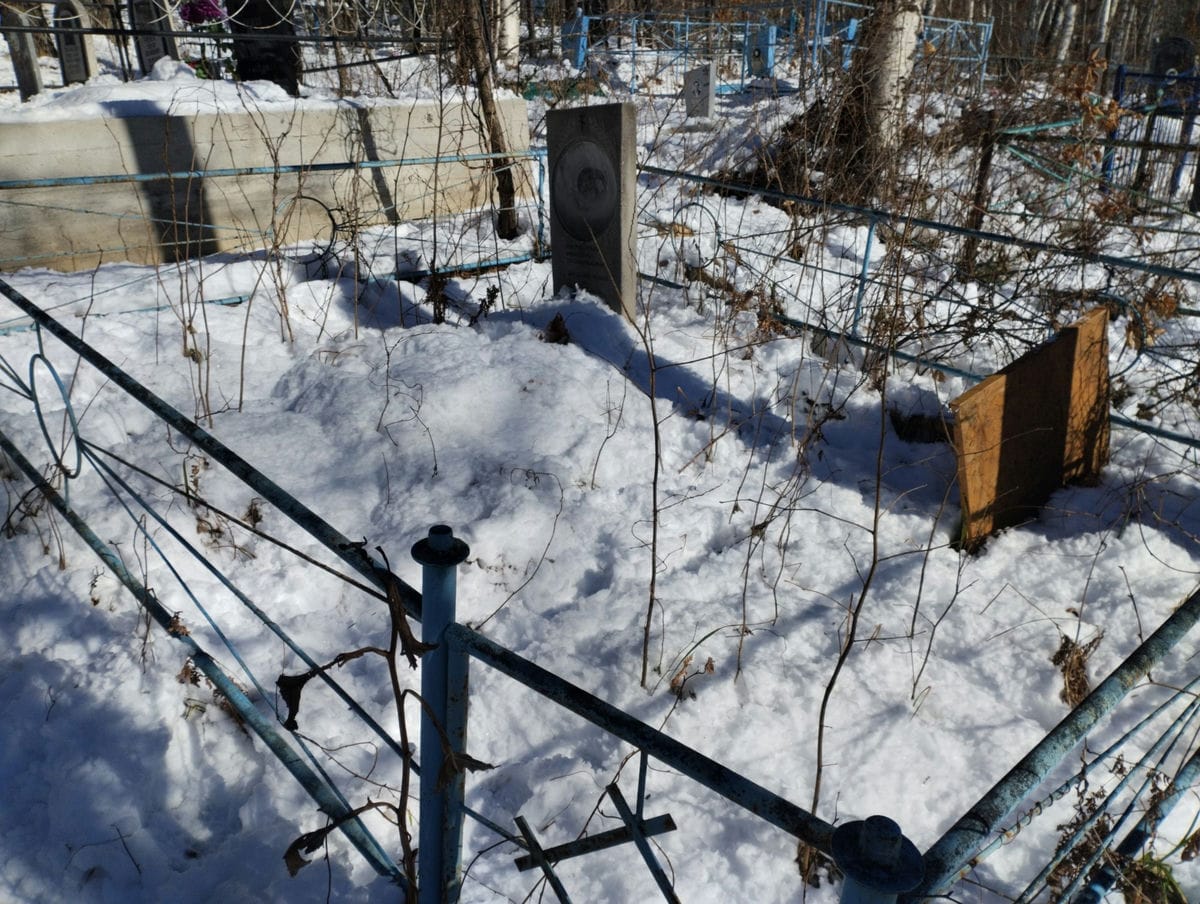 3a2c1195-4e47-4c33-a058-8245c92ad86e Щербатых Николай Трофимович