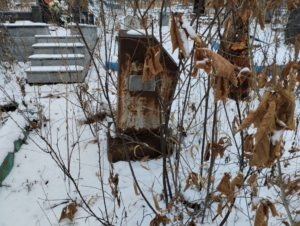 3a59abd9-da91-4826-a329-237c5c8703f9 Рогозников Павел Парфенович