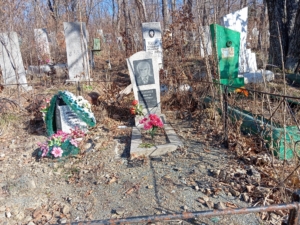 Дмитриев Николай Нестерович