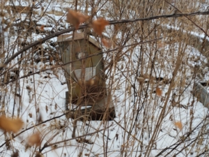 Филиппова Пелагея Федоровна