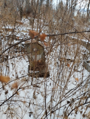 Филиппова Пелагея Федоровна