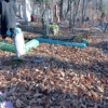 Богданов Владимир Ильич