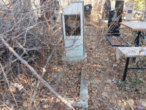 Петрова Нина Павловна