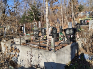 Дмитриева Елена Викторовна