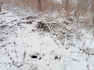 Неизвестно Неизвестно Неизвестно