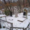 Петрова Ольга Евгеньевна