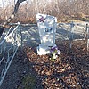 Горожанин Юрий Михайлович
