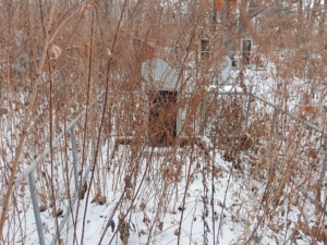 Неизвестно Клавдия Даниловна