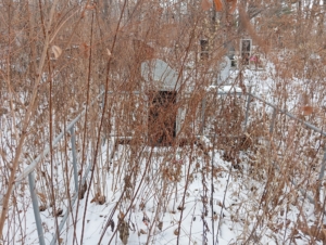 Неизвестно Клавдия Даниловна