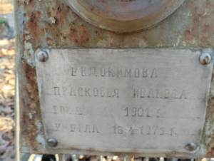 3dd7acbf-5d84-4e45-9db6-89ddce1a630b Евдокимова Прасковья Ивановна