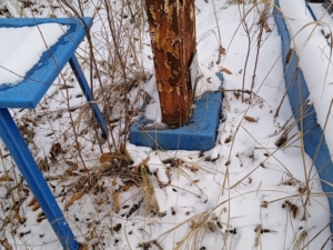 Жарков Александр Викторович